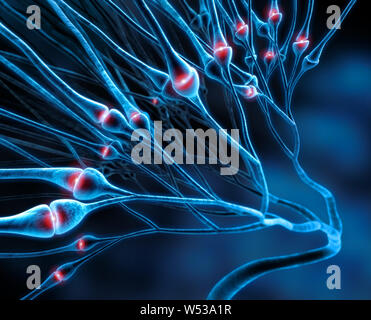 Aktive Nervenzellen, Synapsen - 3D-Darstellung Stockfoto