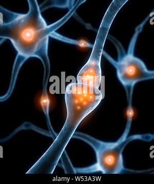 Aktive Nervenzellen, Synapsen - 3D-Darstellung Stockfoto