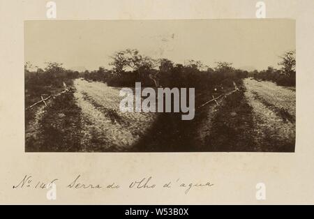 Serra de Olho D'Agua, Marc Ferrez (Brasilien, 1843-1923), Olho D'Água Casado, Alagoas, Brasilien, Südamerika, 1870s, Eiklar, silberfarbener Druck da, 8 × 16,2 cm (3 1/8 x 6 3/8 Zoll Stockfoto