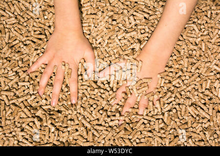 Holz- pellet scharfe Kiefern Stockfoto