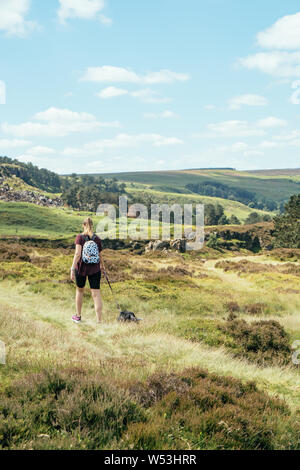 Junge Frau und Hund Wandern am Ilkley Moor Kuh und Kalb Felsen in Yorkshire, Vereinigtes Königreich. Auch als Hangingstone Felsen bekannt. Stockfoto