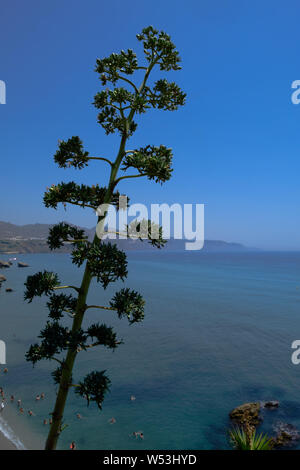 Playa El Faro in Nerja, Andalusien, Costa del Sol, Spanien, Europa Stockfoto