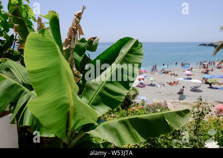 Playa El Salon in Nerja, Malaga, Axarquia, Andalusien, Costa del Sol, Spanien Stockfoto