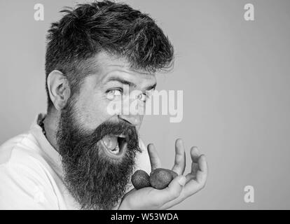 Mann glücklich Gesicht offener Mund mit Bart Erdbeeren isst. Möchte meine berry Mann fröhlich gonna Reife süße Erdbeeren blauen Hintergrund essen versuchen. Hipster bärtigen hält Erdbeeren auf Palm, aus der Nähe. Stockfoto