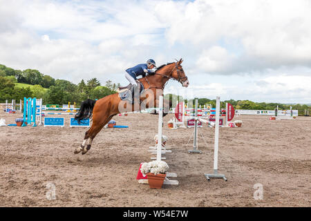 Carrigaline, Cork, Irland. 26. Juli, 2019. Carrigaline, Cork, Irland. 26. Juli, 2019. Carol Gee auf Fernhill Splash löscht einen Sprung bei der Munster SJI 1.2 Serie im Premier Grand Prix, 3-tägige Veranstaltung, die am Maryville Reitzentrum in Carrigaline, Co Cork, Irland. Kredit; David Creedon/Alamy Leben Nachrichten gehalten wurde Stockfoto