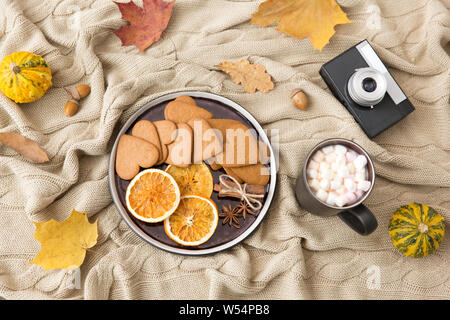 Lebkuchen, heiße Schokolade und Kamera im Herbst Stockfoto