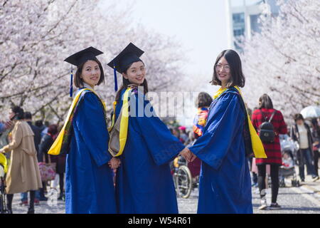 ------ Studenten für Fotos an der Tongji Universität, wo Kirschblüten in voller Blüte in Shanghai, China, 28. März 2018 Sind darstellen. Shangh Stockfoto