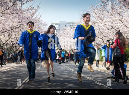 ------ Studenten für Fotos an der Tongji Universität, wo Kirschblüten in voller Blüte in Shanghai, China, 28. März 2018 Sind darstellen. Shangh Stockfoto