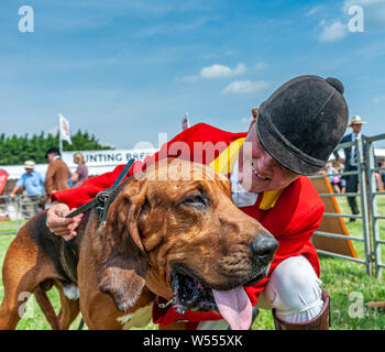 Festival von Jagd, von Peterborough. Ein Bloodhound, von der Cranwell Bluthunde, mit einem Der whippers In im Ring Stockfoto