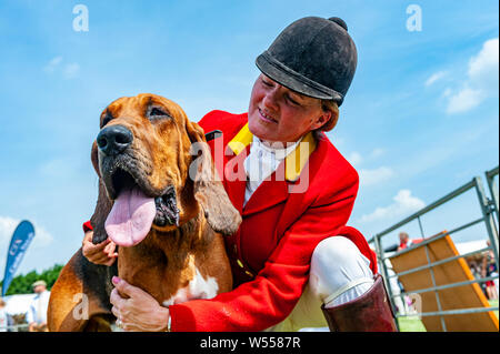 Festival von Jagd, von Peterborough. Ein Bloodhound, von der Cranwell Bluthunde, mit einem Der whippers In im Ring Stockfoto