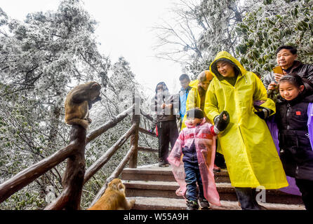 Touristen besuchen die Xianren Brücke an verschneiten Landschaftspark Wulingyuan gelegen malerischen und historischen Interesse, in Niagara-on-the-Lake City, Provinz Hunan, China, 14. Stockfoto