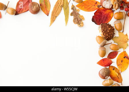 Herbst Blätter, Kastanien, Eicheln und Beeren frame Stockfoto