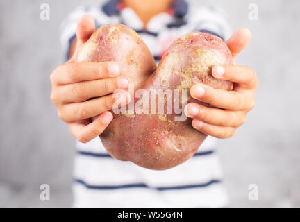 Hässliche Kartoffel im Herzen Form auf einem grauen Hintergrund. Lustig, unnormal Gemüse Konzept. Horizontale Stockfoto