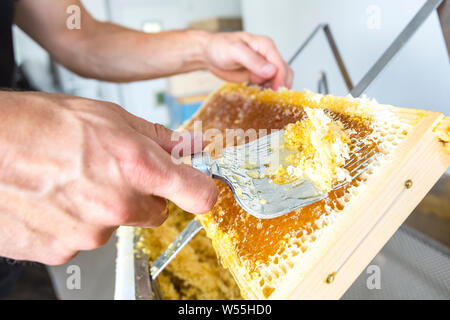 Imker ist Entfernen des Stopfens Wabe mit speziellen Imkerei Werkzeug. Bienenhaltung und seidenraupenzucht Konzept Stockfoto