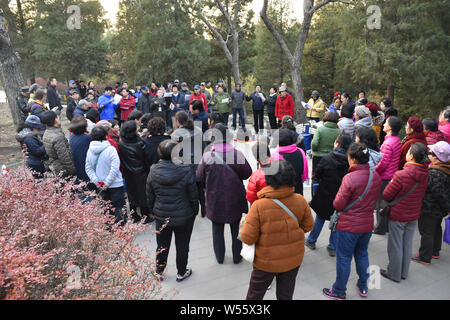 Ältere Menschen vor Ort sammeln und viel Spaß in der Jingshan Park in Peking, China, 26. November 2018. Die durchschnittliche Lebenserwartung der Bewohner von Peking Stockfoto