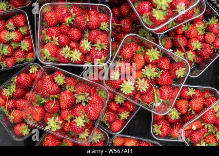 Körbe voller Frische und köstliche Rote gesunde Erdbeeren aus einen Obstmarkt Stockfoto