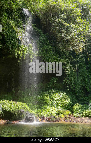 Die Sonne scheint in den Canyon am Banyumala Wasserfall. Die Strahlen der Sonne werden auf der Oberfläche eines Sees unter einem Wasserfall reflektiert. Ein Wasser Dusche. Stockfoto