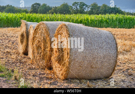 Vier Heuballen liegen auf einem abgetrennten landwirtschaftlichen Bereich im Juli in einer schönen deutschen Sommer Landschaft Stockfoto