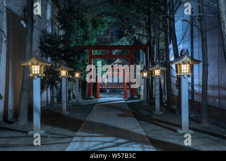 Der Eingang zum Hanazono-jinja Schrein in Shinjuku, Tokyo, Japan. Stockfoto