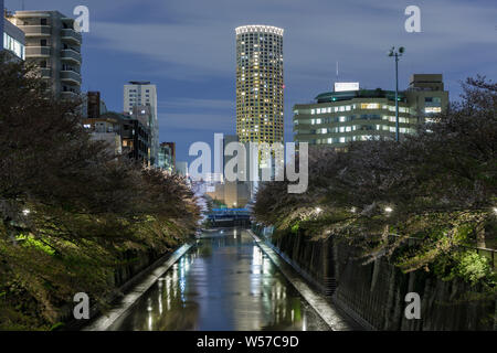 Cherry Blossom Bäume in Meguro, Tokio, Japan. Stockfoto