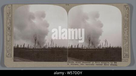 Delville Holz, in heftigen Kämpfen erschüttert von der S. Afrikaner, die heldenhaft heftige Angriffe, Zerstörung der Umwelt, Wald, Holz widerstanden, Delvillebos, realistisch Reisen (auf Objekt erwähnt), Somme, nach 14-Jul-1916-C. 1918, Pappe, Fotopapier, Silbergelatineabzug, H 85 mm x B 170 mm Stockfoto