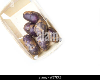 Frisch geerntete organische Süßkartoffeln in Holzkiste. Süßkartoffel enthält unlösliche Ballaststoffe, die helfen können, Verstopfung zu entlasten. Ausgewählte konzentrieren. Stockfoto