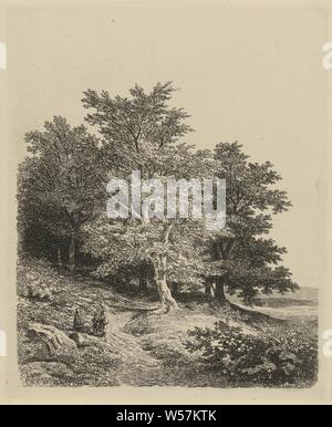 Die Zahlen auf den Waldrand, Landschaften (Landschaft mit Figuren, staffage), Remigius Adrianus Haanen, Österreich (möglicherweise), in oder vor 1850, Papier, Ätzen, H 239 mm x B 196 mm Stockfoto