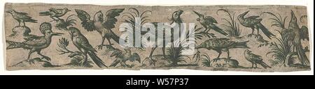 Pommes Frites mit zwölf Vögel, darunter ein hop Friesen mit Vögeln (Titel der Serie), unten links eine Hop., Vögeln, anderen Vögeln: wiedehopf, Nicolaes de Bruyn (auf Objekt erwähnt), 1581 - 1656, Papier, Gravur, H 34 mm x B 167 mm Stockfoto