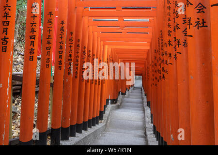 Torii Tore der Hie Schrein, Tokio, Japan. Stockfoto