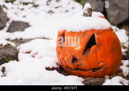 Am frühen Morgen mit geschnitzten Kürbis verfallende in Fels, Schnee bedeckt. Stockfoto