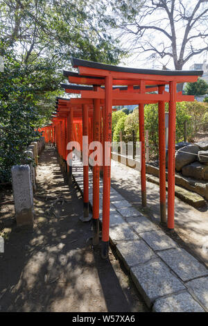 Torii Gates in Nezu Heiligtum in Bunkyo Bezirk, Tokyo, Japan. Stockfoto