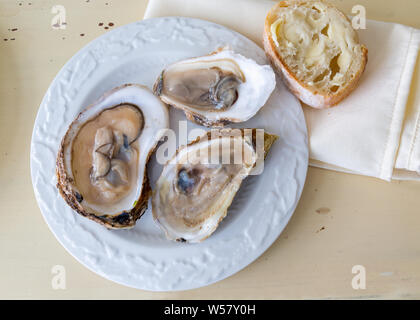 Geöffnet rohe Austern auf einem Teller. Stockfoto