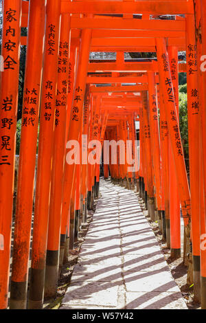 Torii Gates in Nezu Heiligtum in Bunkyo Bezirk, Tokyo, Japan. Stockfoto