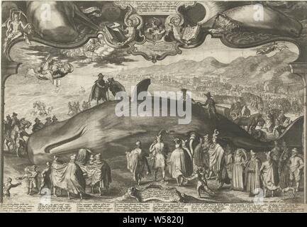 Walvis, gewaschen an Land am 13. Januar 1601 in Beverwijk, Walvis (Sperm whale) an Land am 13. Januar 1601 gewaschen in Beverwijk. Im Vordergrund Graf Ernst Casimir van Nassau, der Maler mit einem Papier in der Hand mit seiner Zeichnung, eine Masse von Zuschauern und im Hintergrund auf der linken Seite das Meer, auf der rechten Seite des Strandes mit Autos und Menschen. Oben sehen Sie die Leiter der Wal von zwei Seiten. In Zwischen eine Mission in Lateinamerika zu Graf Ernst Casimir von saenredam und die verdunkelte Sonne und Mond. Darunter ist ein Erdbeben und den Tod, den ein Pfeil schießt auf der Amsterdamer Jungfrau als Anspielung Stockfoto