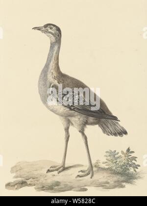 Treppen, Walker und Läufer Vögel (Trap), Pieter Pietersz. Barbiers, 1759 - 1842, Papier, Aquarell (Lack), Stift, Pinsel, H 350 mm x B 264 mm Stockfoto