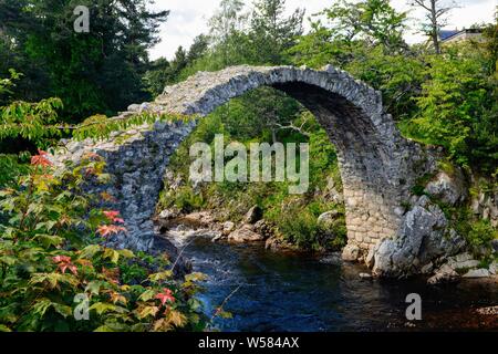 Alte Packesel Brücke in Carrbridge, Schottland, im Jahre 1717 erbaut. Es ist die älteste Steinbrücke im schottischen Hochland. Stockfoto