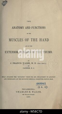 Die Anatomie und die Funktionen der Muskeln der Hand und der extensor Sehnen der Daumen: Walsh, J. Francis Stockfoto