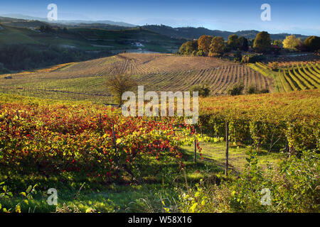 Blick auf Weinberge der Langhe Monferrato Roero, UNESCO-Welterbe in Piemont, Italien. Stockfoto