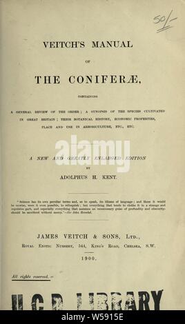 Die veitch Handbuch der coniferae: enthält eine allgemeine Überprüfung der Bestellung eine Synopse der Arten, die in Großbritannien kultiviert, ihre botanischen Geschichte, wirtschaftlichen Eigenschaften, den Ort und den Einsatz in der baumzucht, etc.: Kent, Adolphus Henry Stockfoto