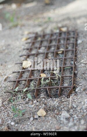 Alte Metall Schuhputzmaschine/-gitter lag auf dem Boden im Garten aus der Nähe Stockfoto