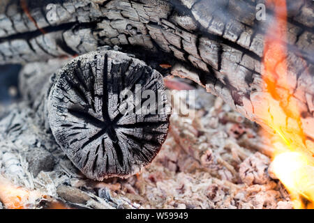 Outdoor Camping Konzept. Großen brennenden Holzscheite im Lager Feuer. In der Nähe von Flammen Feuer mit roten und orangefarbenen Flammen. Schwelende Glut in einem Feuer, das Verbrennen von Holz. Stockfoto