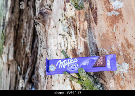 Lodz, Polen, Januar 2017: eine Leiste mit Milka Mondelez Milch Alpenmilch Schokolade mit der lila Kuh, Stamm, Rinde Stockfoto