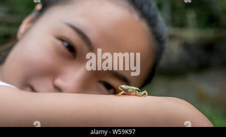 Asiatische Frau suchen und halten einen kleinen Wald Frosch Kröte close-up. Die Menschen, die interagieren mit wenig wild Reptile Tier in Taiwan. Stockfoto