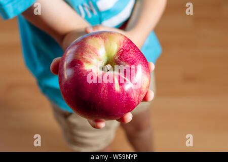 Der Junge hält einen großen, roten Apfel. Ein Kind mit einer saftigen Frucht. Polnische Äpfel. Gesundes Frühstück. Stockfoto