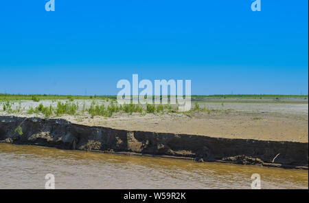 Grüne Pflanzen am Ufer des Flusses Indus Punjab, Pakistan, blauen Himmel im Hintergrund. Stockfoto