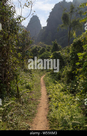 Malerischer Blick auf eine üppige Natur, Kalkstein Berge und Hügel - abseits der ausgetretenen Pfade in der Nähe von Vang Vieng, Vientiane, Laos, Provinz an einem sonnigen Tag. Stockfoto