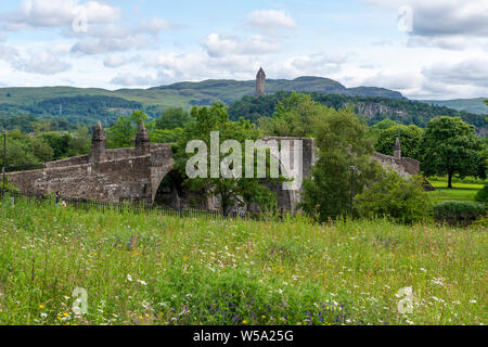 Alte Stirling Bridge über den River Forth mit Wallace Monument im Hintergrund bei Stirling, Schottland, Großbritannien Stockfoto