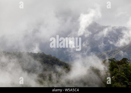Misty Landschaft, Banaue, Luzon, Philippinen Stockfoto