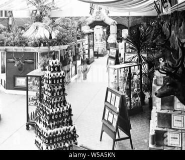 Neuseeland Pavillon, Franco Britischen Weißen Stadt Ausstellung in London im Jahr 1908 Stockfoto