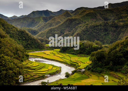 Die Reisterrassen in der Nähe von batad, die Cordillera Gebirge, Luzon, Philippinen Stockfoto